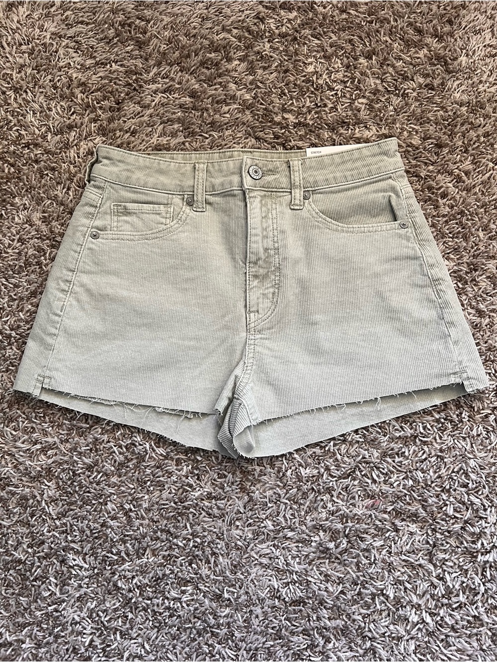 American Eagle Outfitters Light Sage Corduroy Cutoff Shorts